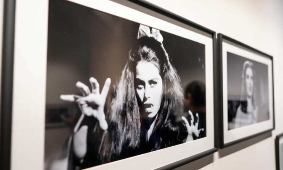 El poder femenino en el cine de terror: “Maravillosas, monstruosas”