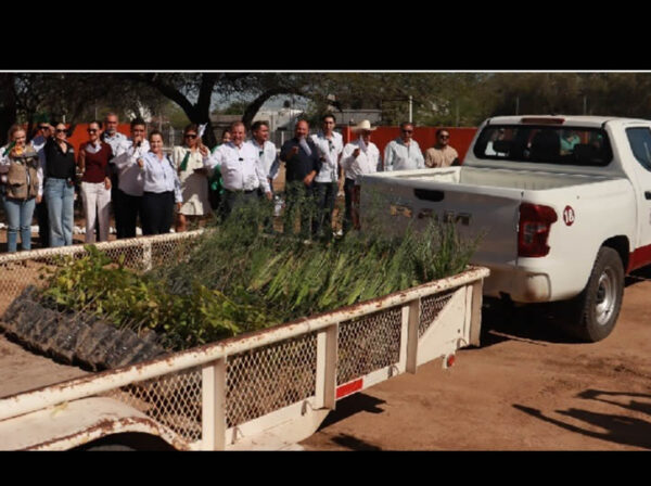 Gobierno de Sonora arranca Programa Estatal de Reforestación “Por un Sonora Sustentable”