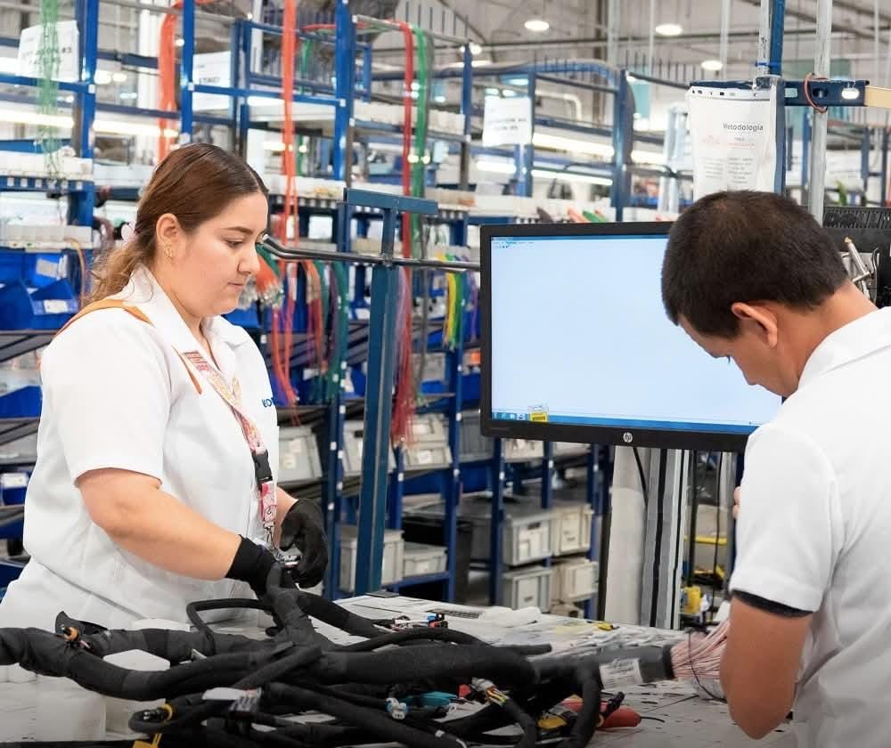 IMSS registra máximo histórico con casi 23 millones de empleos afiliados