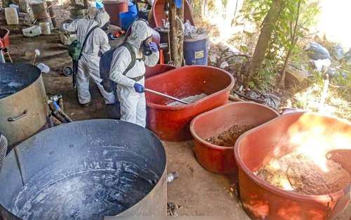 Incautan media tonelada de droga en cuatro estados