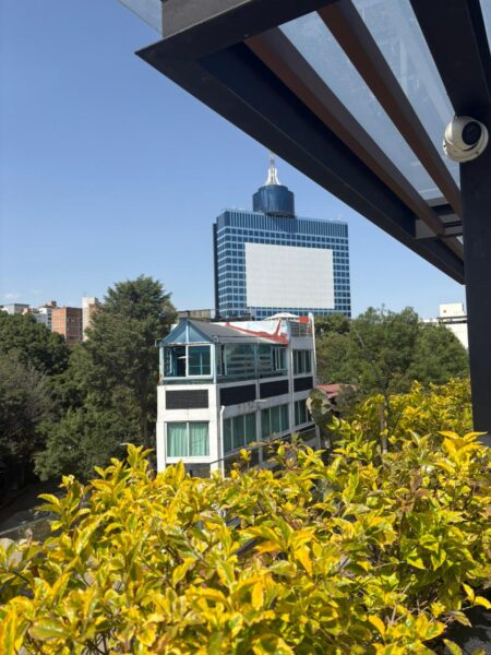 Los Simpsons predicen un spot ideal para relajarte en CDMX: Alia Rooftop