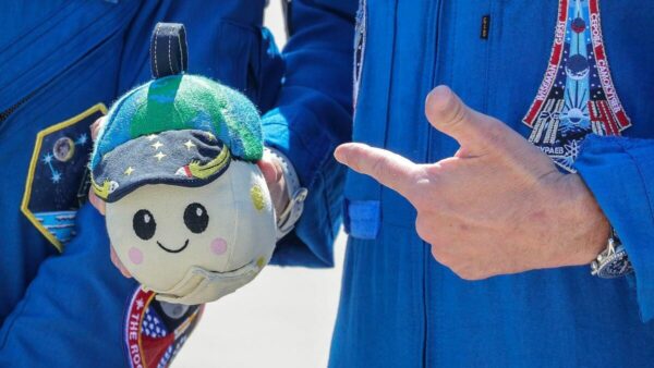 Rise, la mascota de Artemis II que viajará rumbo a la Luna