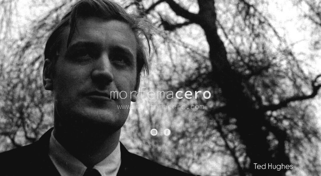 Cartas de cumpleaños Ted Hughes / II