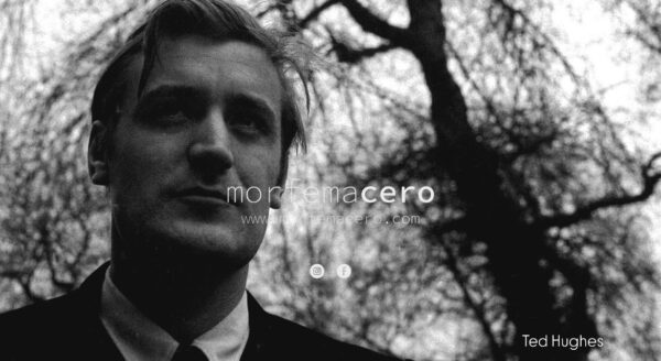 Cartas de cumpleaños Ted Hughes / II