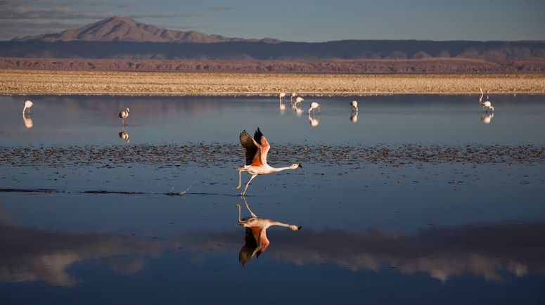 EE UU y Bolivia se alinean por minerales críticos y tierras raras; pueblos indígenas y ambientalistas ya están en alerta