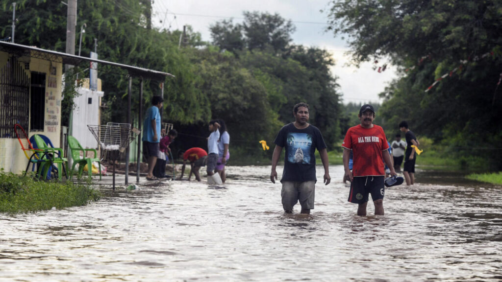 El cambio climático afecta la tasa de mortalidad en naciones en desarrollo.