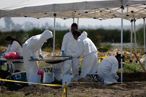 Hallan cientos de restos óseos en lago de Chalco