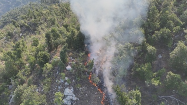 Incendio forestal en El Veladero alcanza 70% de control: Conanp