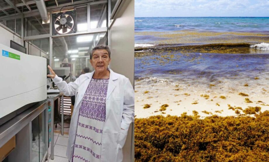 IPN refuerza monitoreo de gases de sargazo