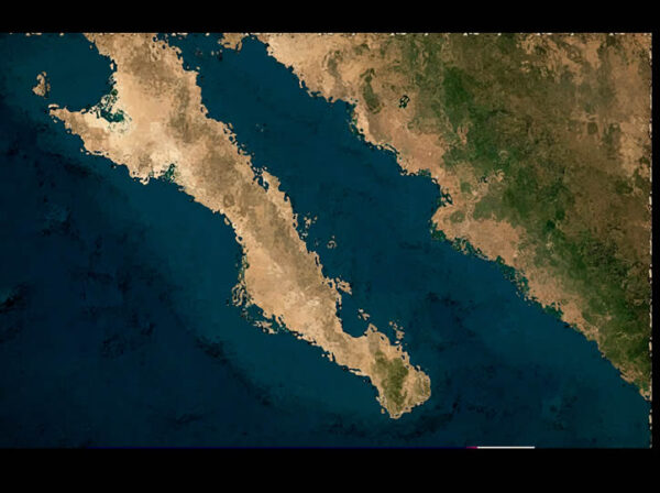 Proyecto Saguaro es ‘imperialismo ecológico’ en el Golfo de California: Mittermeier