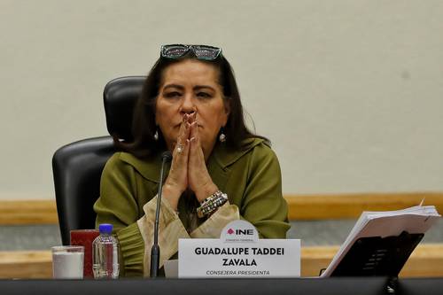 Seis directivos del INE cercanos a Taddei buscan ser consejeros