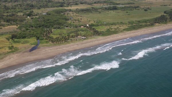 Sin arribazón de hidrocarburos 32 playas nacionales