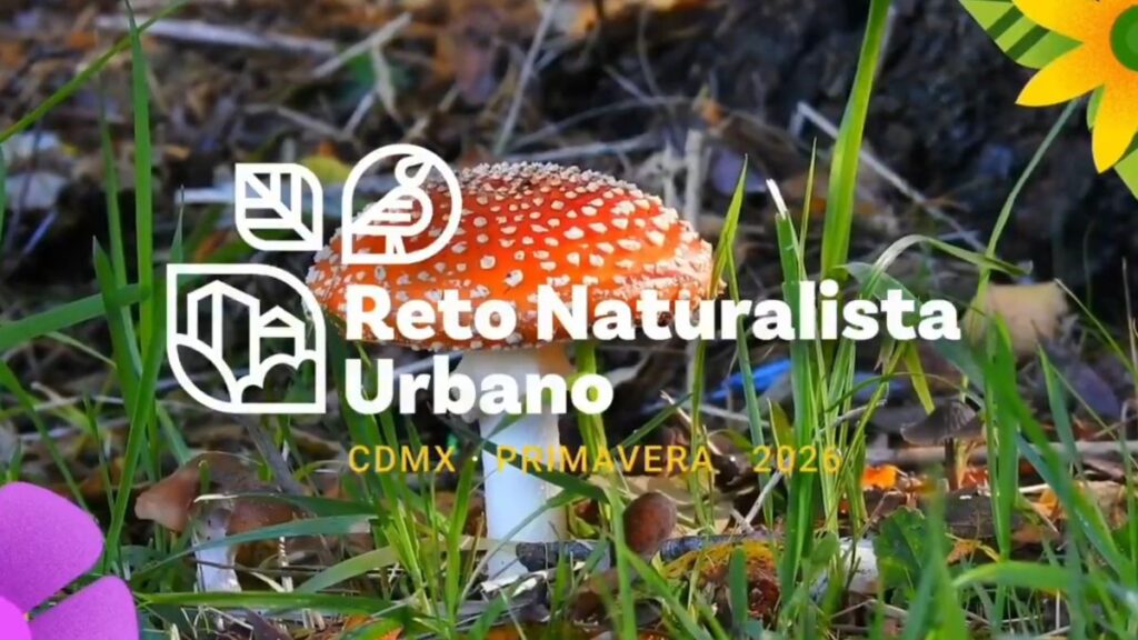 Súmate al Reto Naturalista Urbano 2026 de CDMX