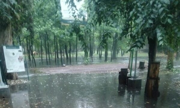 Cierran temporalmente los Viveros de Coyoacán
