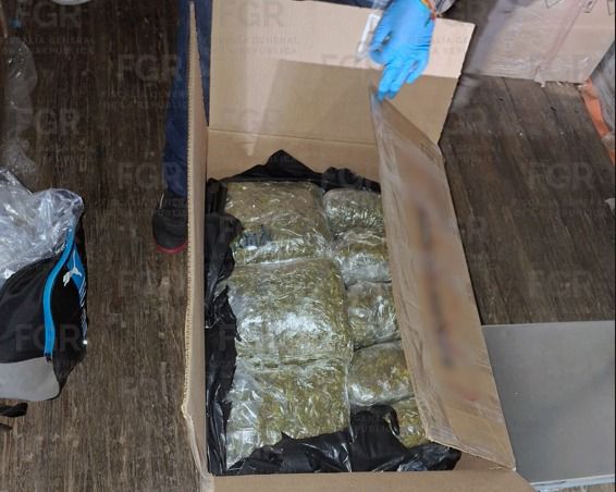 Coahuila: aseguran más de 700 kilos de marihuana