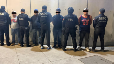 Decomisan 1.2 toneladas de marihuana en CDMX
