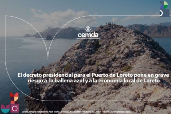 El decreto presidencial para el Puerto de Loreto pone en grave riesgo a la ballena azul y a la economía local
