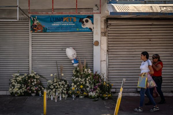 El Índice de Paz de México refrenda la baja en homicidios, pero alerta sobre otro tipo de violencias