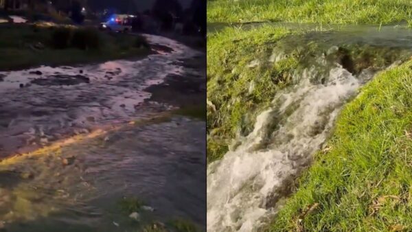 Reaparece megafuga de agua en Xochimilco