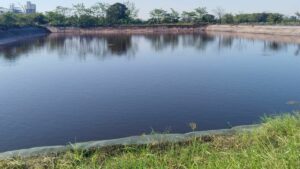 Atienden mortandad de peces en río de Veracruz