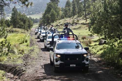 Baja 95% la tala ilegal en corredor forestal del Ajusco