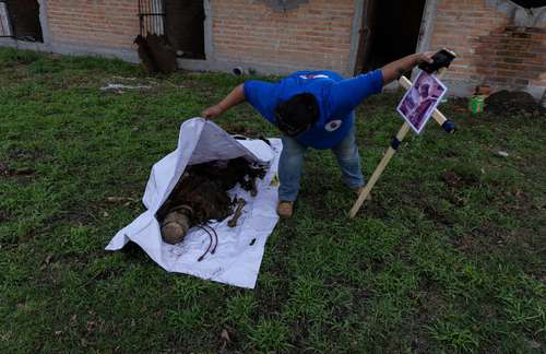 Colectivo localiza restos óseos de 4 personas en una finca de Jerez