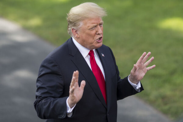 Donald Trump Is Accidentally Speeding the Green Transition