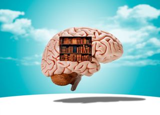 El cerebro no nace siendo un 'lienzo en blanco'