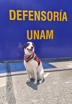 Epi ofrece en la UNAM apoyo a jóvenes víctimas de violencia de género