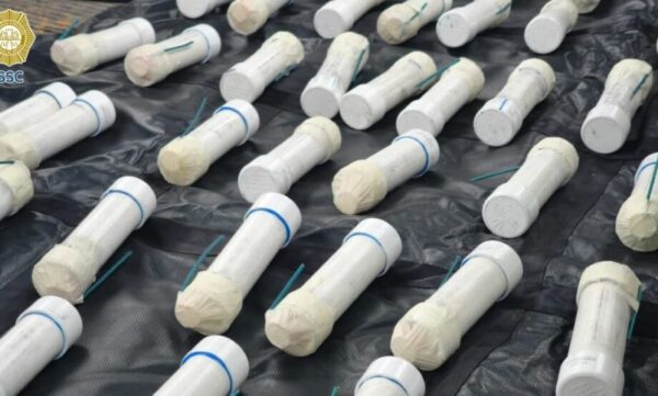 Hallan explosivos en transporte de profesores