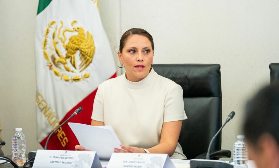 Jennifer Castillo, nueva titular de Grandes Contribuyentes