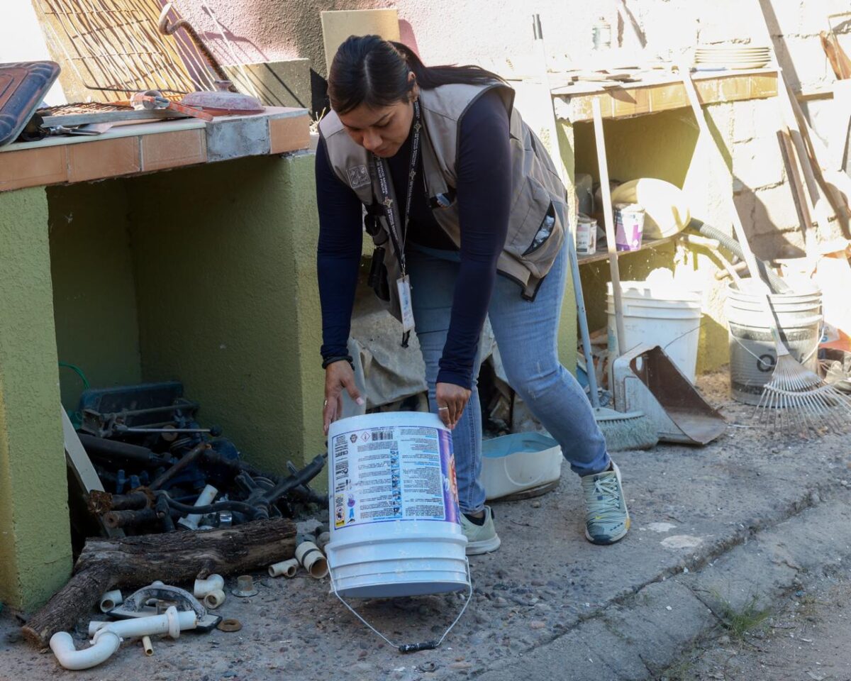 Llaman a reforzar limpieza en el hogar para prevenir enfermedades por vectores
