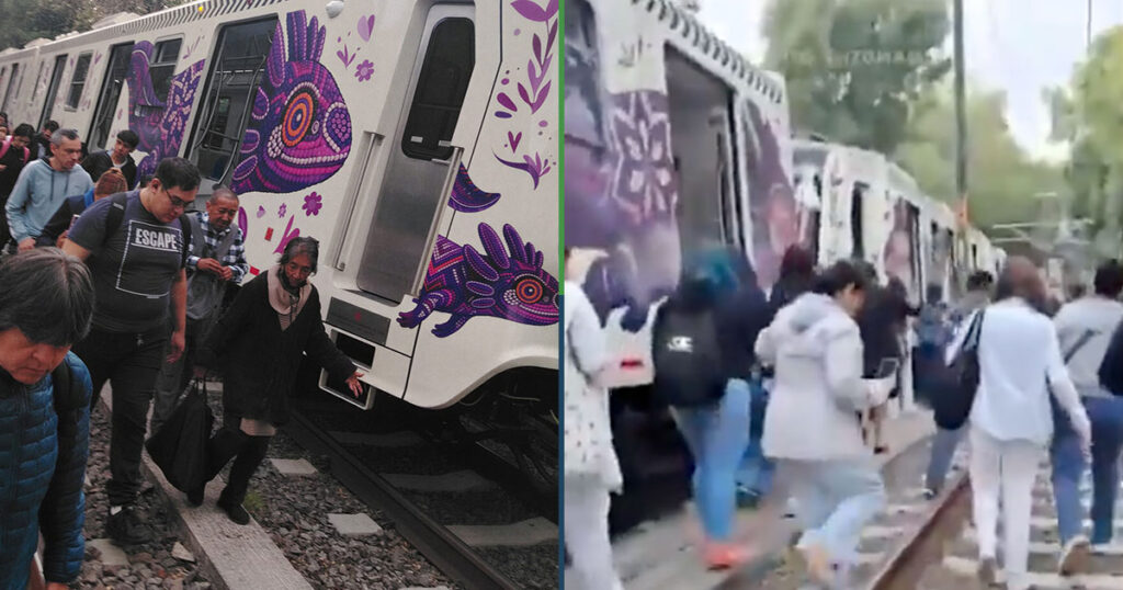 Pasajeros agradecen falla en el metro para admirar los ajolotes en los vagones