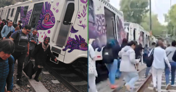 Pasajeros agradecen falla en el metro para admirar los ajolotes en los vagones