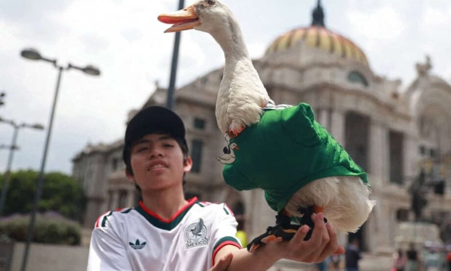Pato Merlín, embajador de FIFA en el Fan Fest