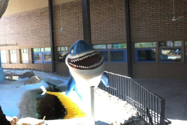 Reabrirá Centro Ecológico de Sonora su acuario el 1 de noviembre