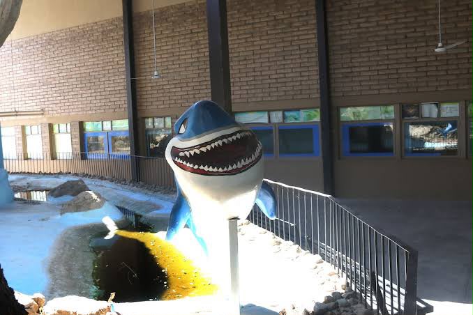 Reabrirá Centro Ecológico de Sonora su acuario el 1 de noviembre