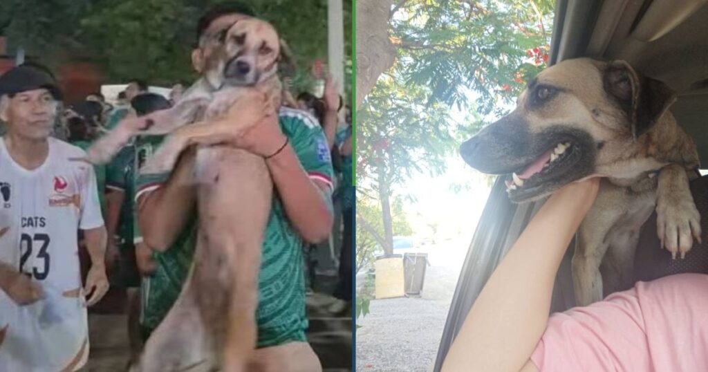 Sujeto encuentra a su perrita perdida porque la vio en los “festejos” de la Selección