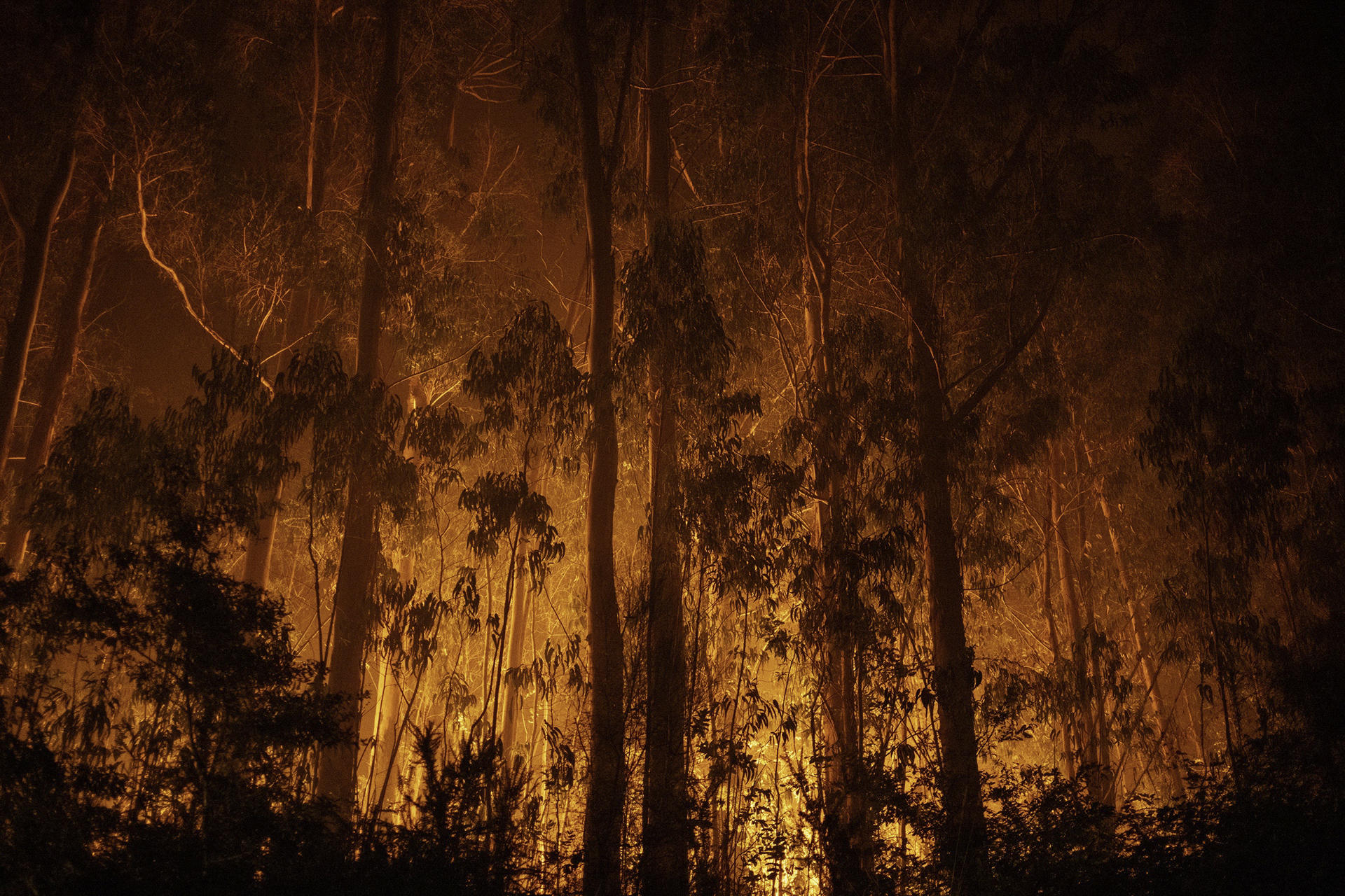 España se convierte en el país de la UE con más superficie forestal quemada - Ilustración 3
