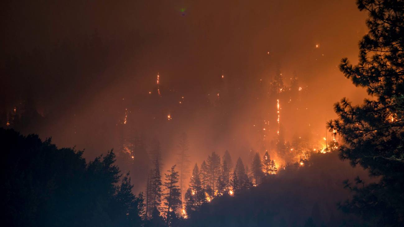 La exposición a incendios forestales durante el embarazo perjudica a los bebés - Ilustración 1