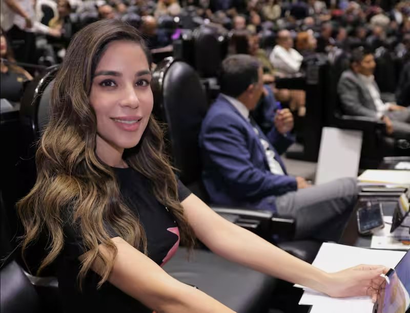 Diana Karina Barreras, ‘Dato Protegido’, buscaría la alcaldía de Hermosillo - Ilustración 1