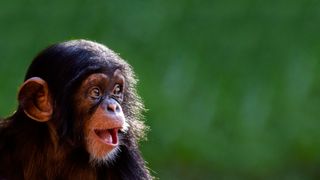 Los humanos hemos usado fuego desde mucho antes de lo que pensábamos