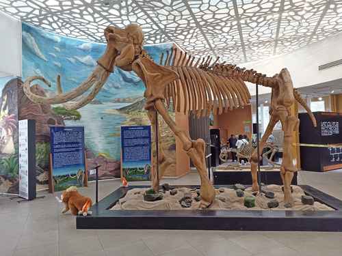 Reabren museo de vestigios arqueológicos en Ecatepec