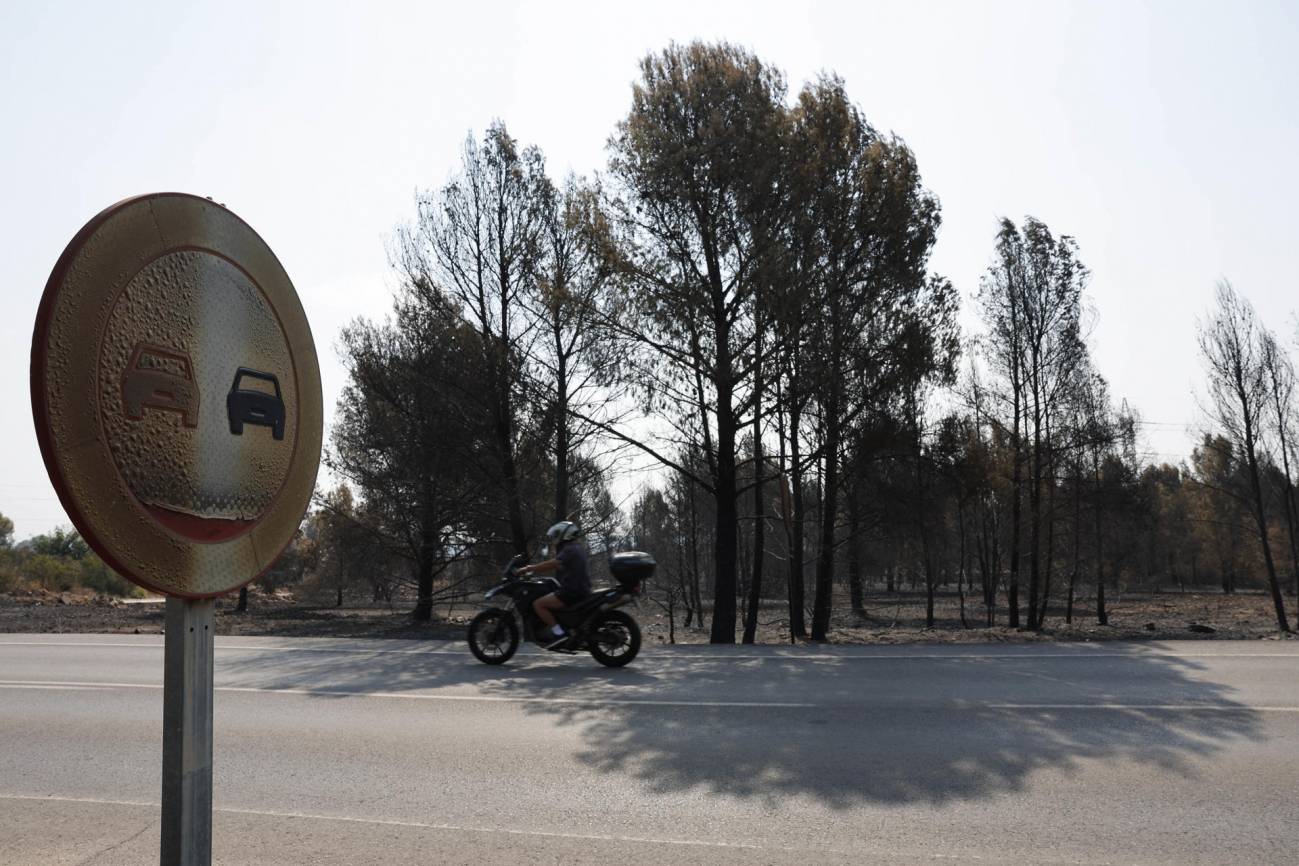 La OMM advierte de que el cambio climático aumenta el riesgo de incendios, aunque no sea el único factor - Ilustración 1