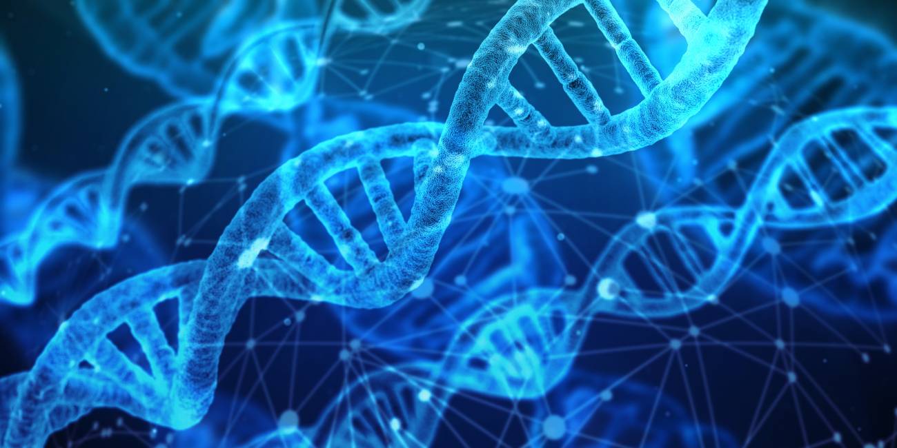 Corrigen con CRISPR un error del ADN que causa una enfermedad metabólica rara - Ilustración 1