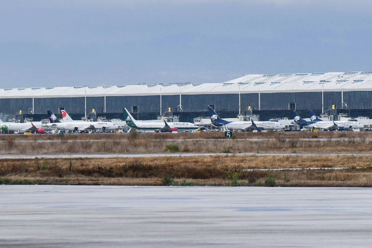 Anticorrupción detecta presunta filtración de base de datos de clientes de Aeroméxico | Grupo Animal - Ilustración 1