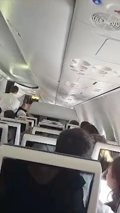 Qué se sabe sobre el apuñalamiento en un vuelo rumbo a Israel que califican como un