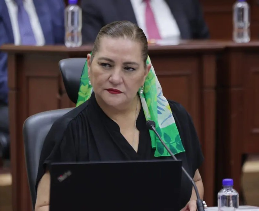Guadalupe Taddei anuncia su renuncia al INE en medio de señalamientos por contratos y proveedores - Ilustración 1