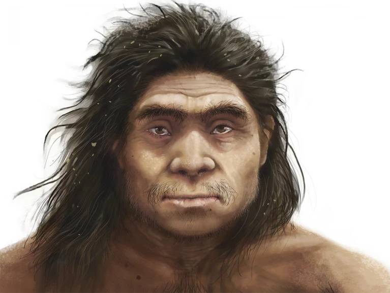 Así era el rostro de los denisovanos, según revelan nuevos fósiles de hace 130 000 años - Ilustración 1