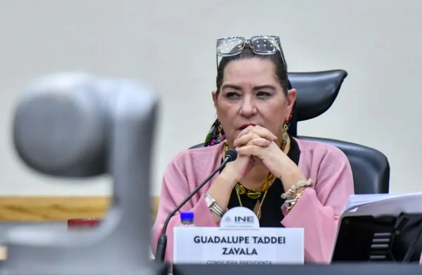 Guadalupe Taddei anuncia su renuncia al INE en medio de señalamientos por contratos y proveedores - Ilustración 2